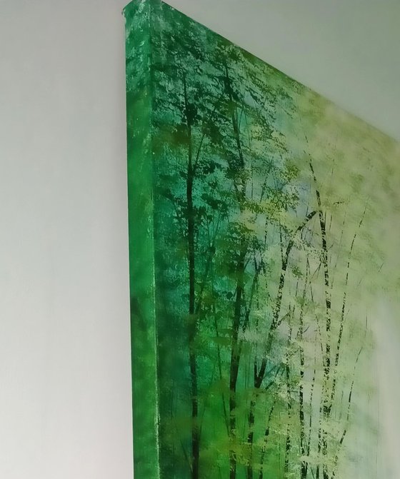 Sunlight Serenade Forest Glade