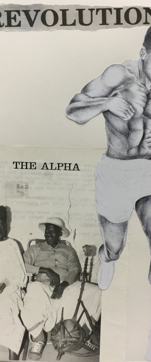 The Alpha by Habib Hajallie