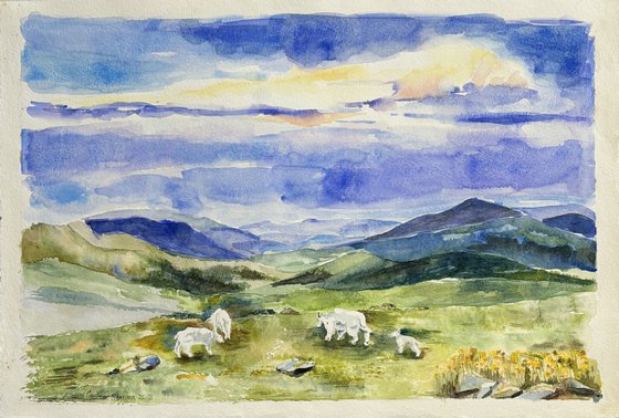Mount Evans, Rocky Mountains