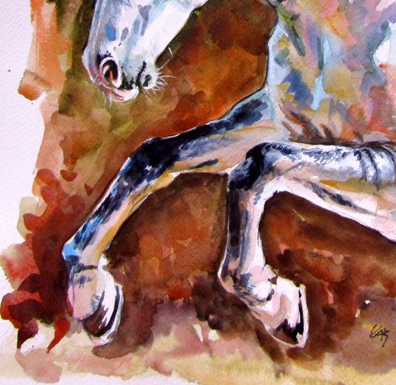 Running horse II