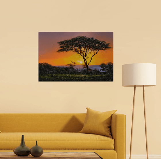 " Africa - Acacia tree " Special Price !!!