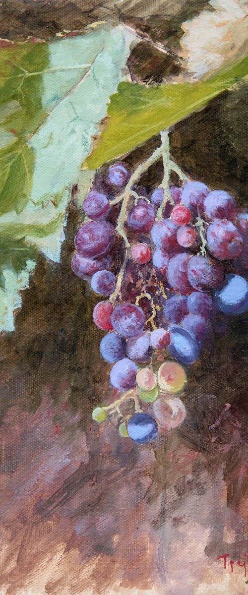 Red Grapes 2 by Dejan Trajkovic