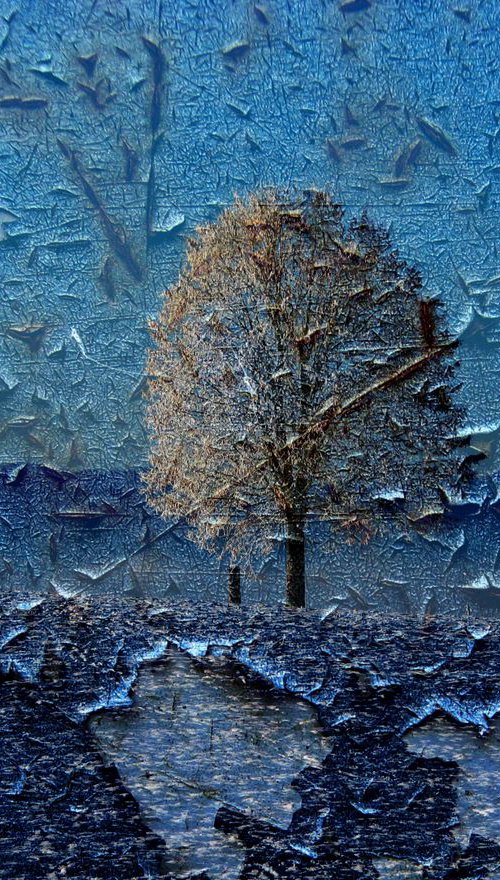 Blue winter, EXTRA LARGE 150 cm X 110 cm by Srdjan Jevtic