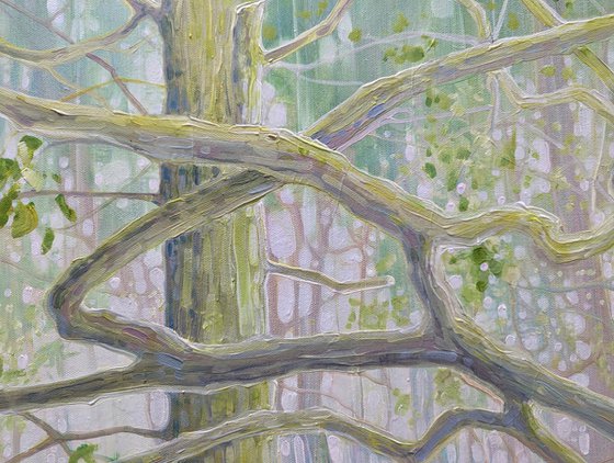 The Mother Tree