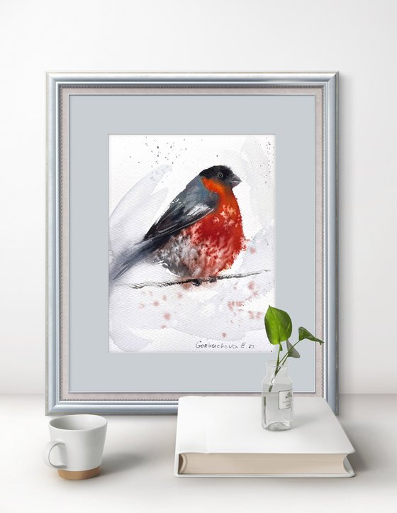 Bullfinch
