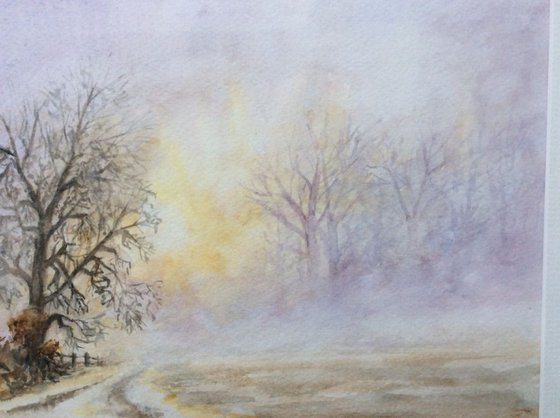 Misty Woodland