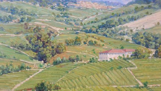 View of Monforte d'Alba