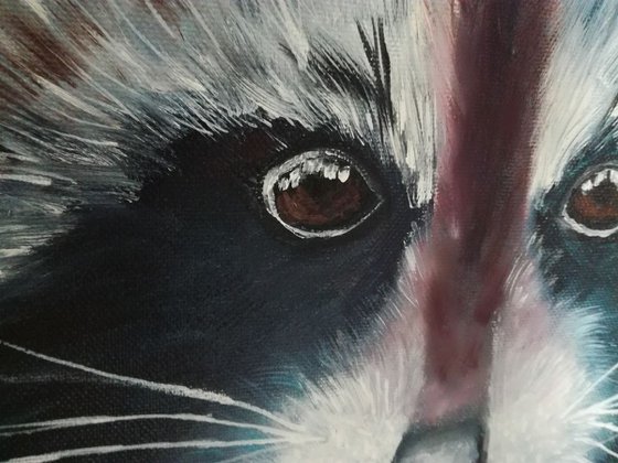 Racoon, animal face, gift, original oil painting