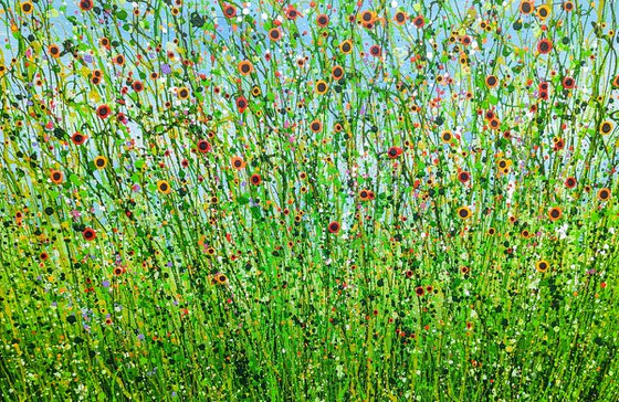 Wild Poppy Meadows #3