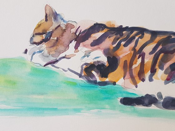 Dozing cat study II