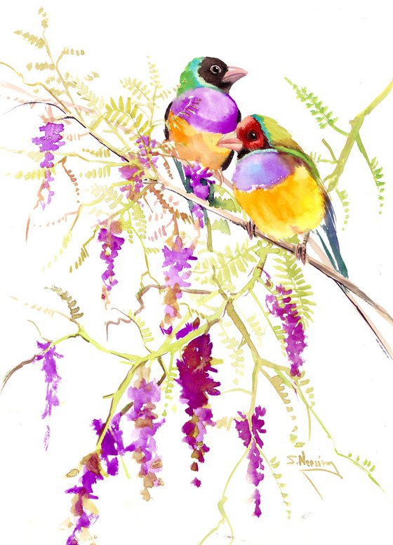 Gouldian finch and Flowers