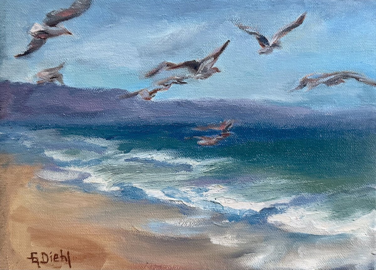 Photorealistic Animal Oil Painting By Grace Diehl, 7 X 5, Sea Birds, Original Artwork