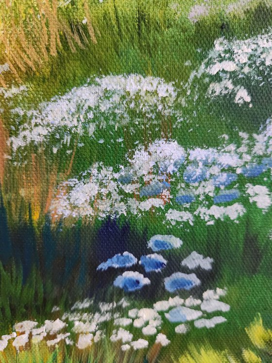 Sunlit Meadow.