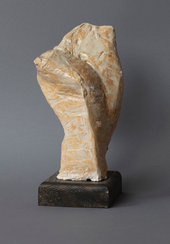 "Male Torso II"