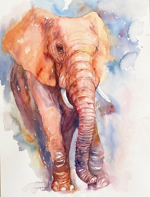 Kelsi_Elephant by Arti Chauhan