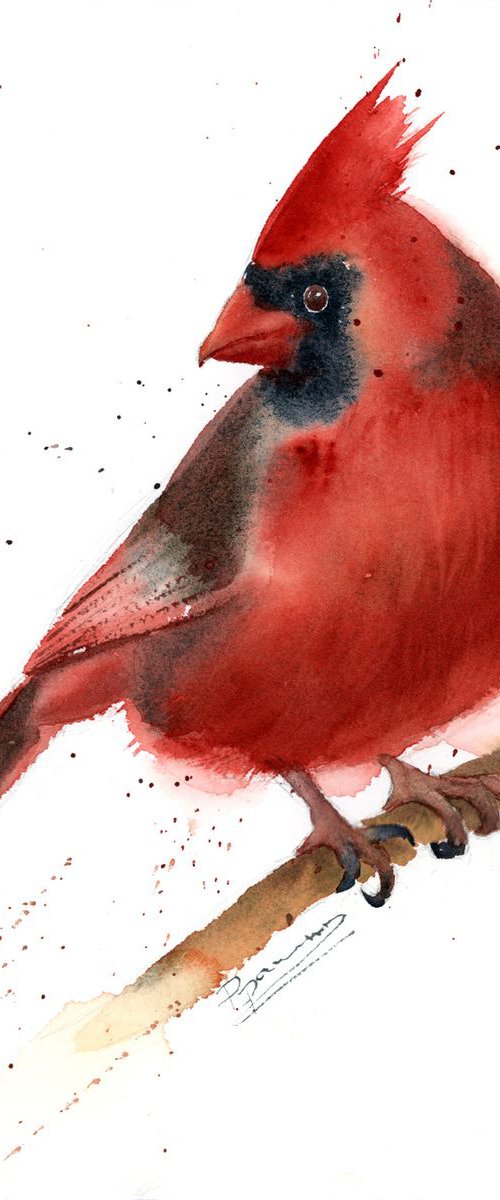 Red Cardinal Original Watercolor by Olga Tchefranov (Shefranov)