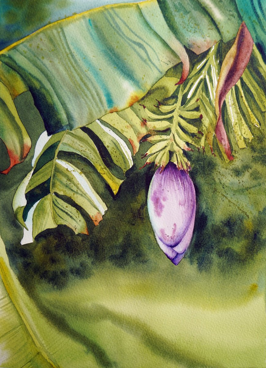Impressionistic Botanical Watercolour By Delnara El, 11 X 15, Green Banana, Original Artwork
