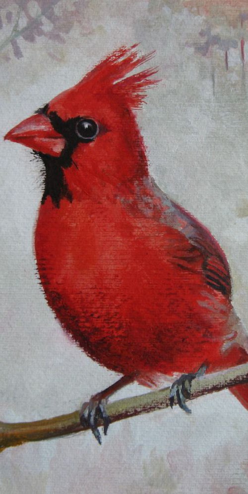 Cardinal by Elena Oleniuc