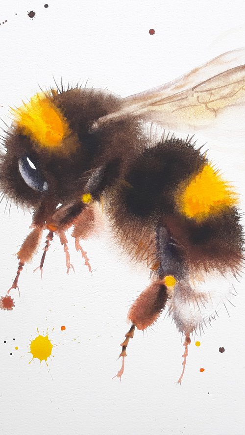 Bumblebee #1 by Olga Beliaeva Watercolour
