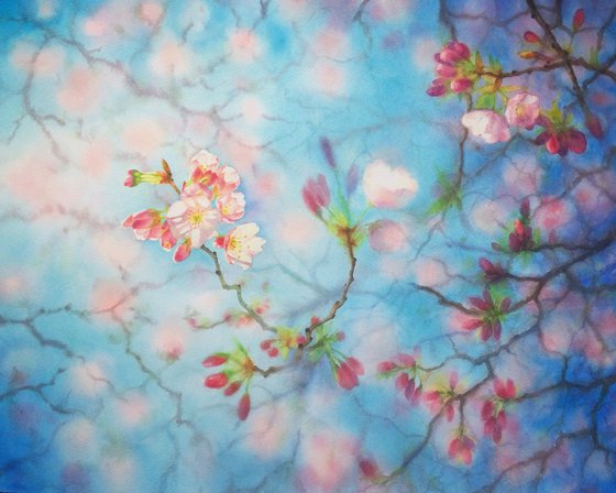 RESERVED - Cherry Blossoms - Sakura - Cherry tree branch