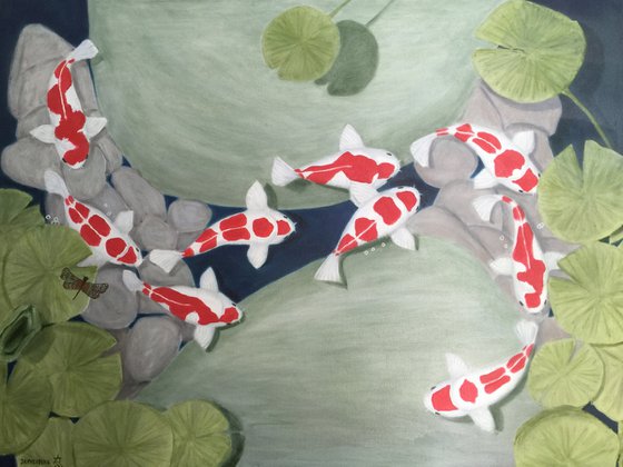 KOI FISH IN A POND
