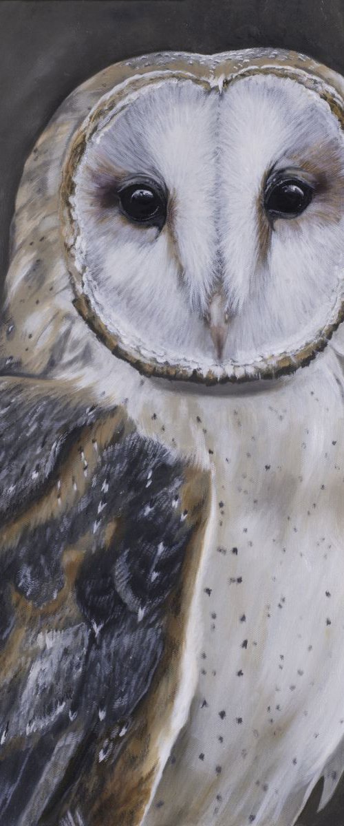 'Wise one' by Nicola Colbran
