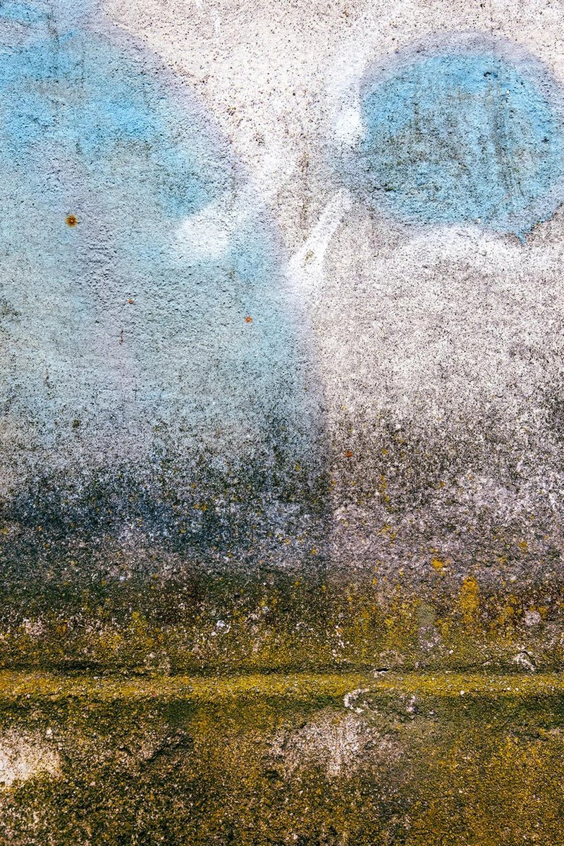 Organic Abstract Photograph By Maciej Jabkowski, 16 X 24", Wall 3, Original Artwork