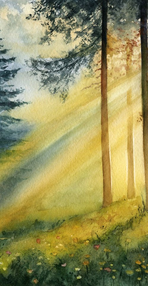 Sunlight in the forest by Tetiana Koda