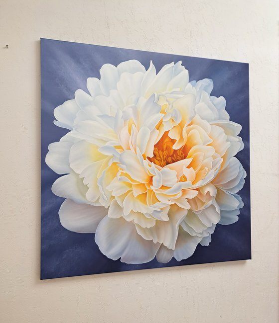 Dance of peony petals