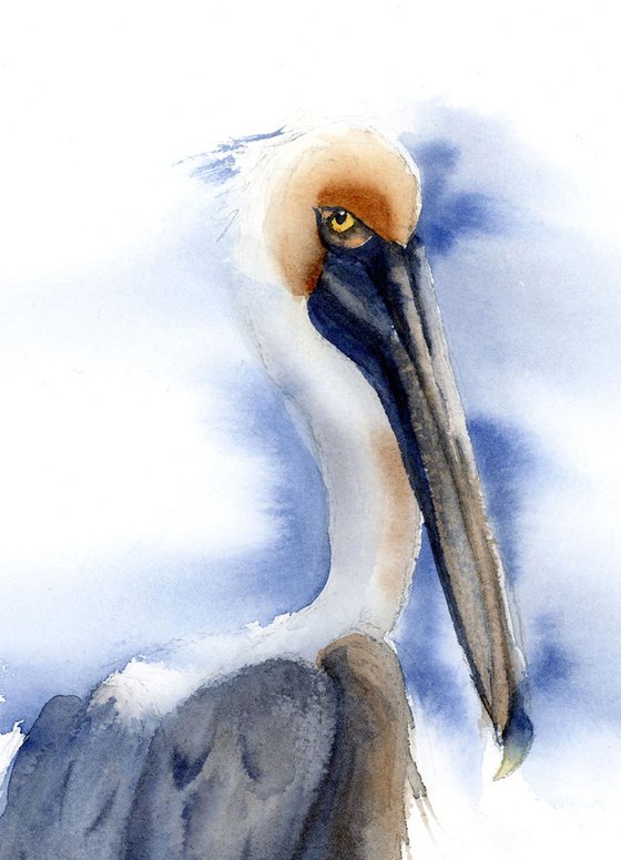 The Pelican