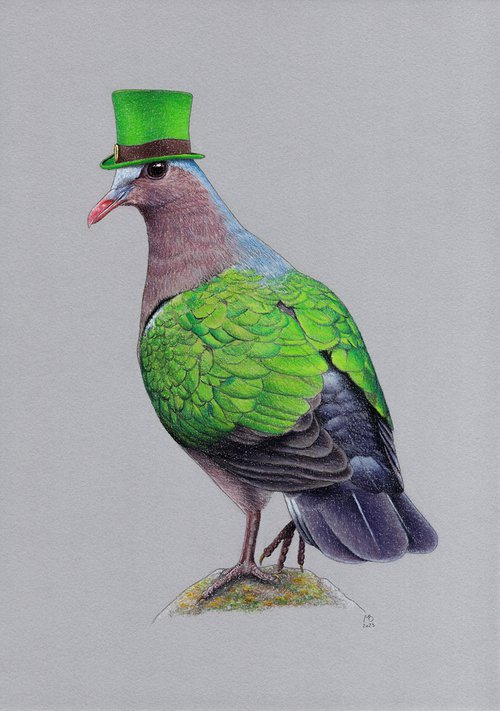 Common emerald dove by Mikhail Vedernikov