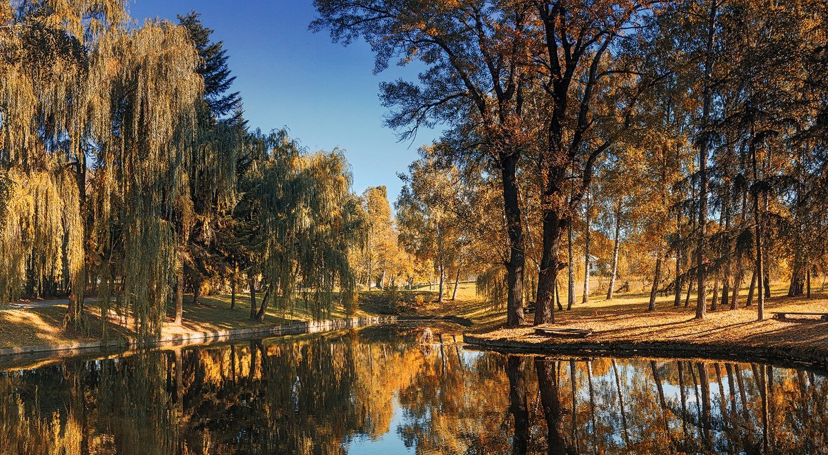 Autumn in the park. by Valerix