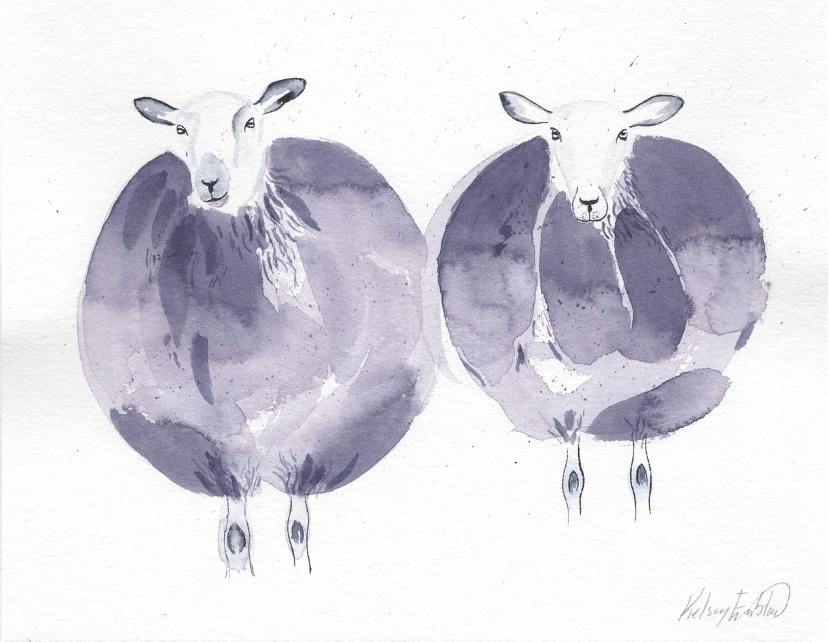 2 purple lacaune sheep original watercolour painting 9x7 inch by Kelsey Emblow