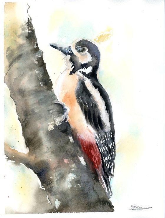 Woodpecker  -  Original Watercolor Painting by Olga Shefranov