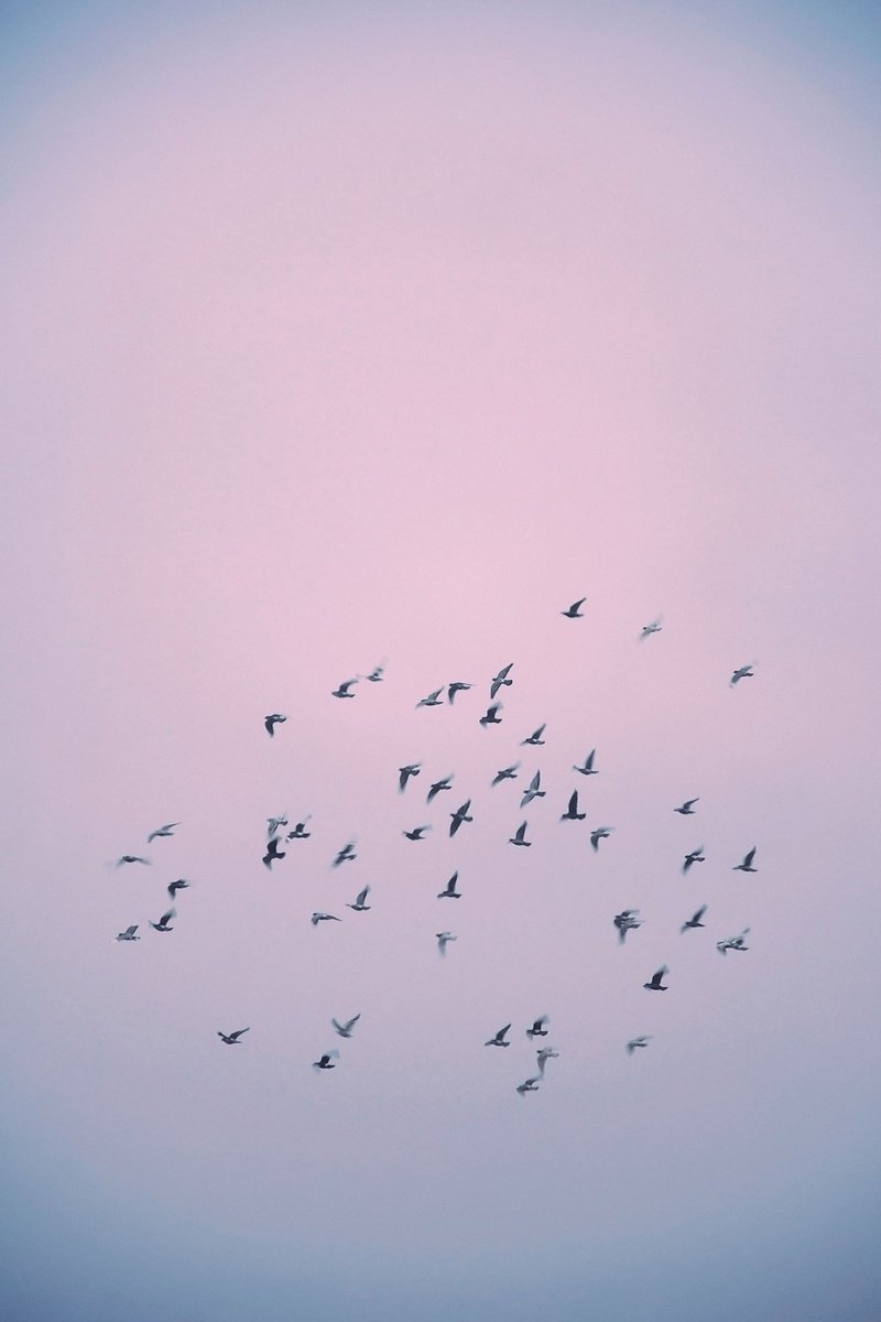 Surrealistic Cityscapes Photograph By Journey Gong, 29 X 43", Early Spring, Original Artwork