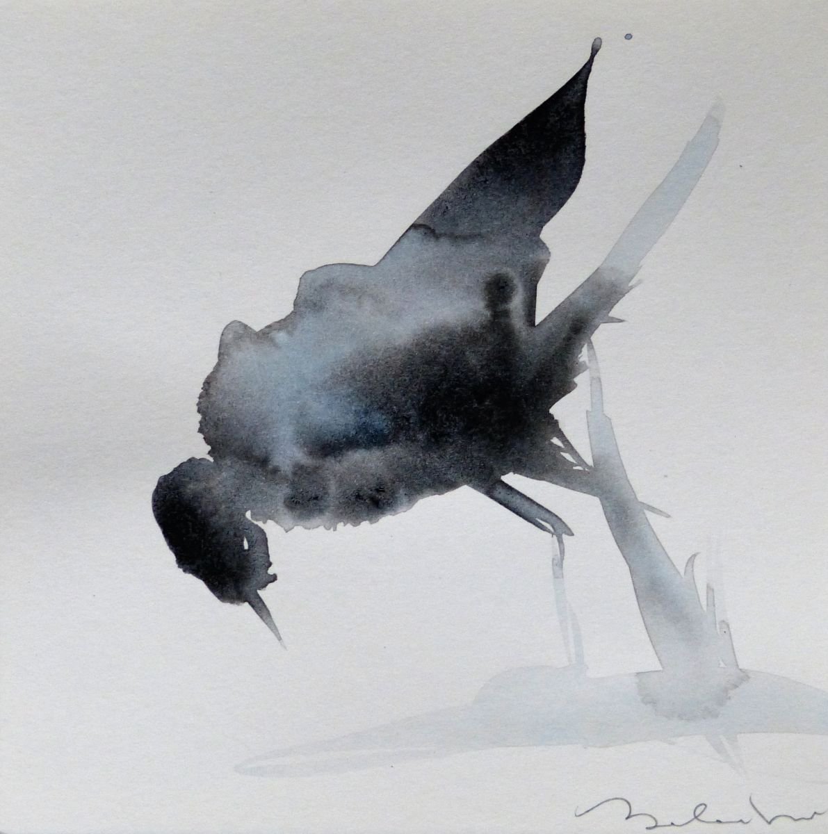 Little bird 7, 15x15 cm by Frederic Belaubre