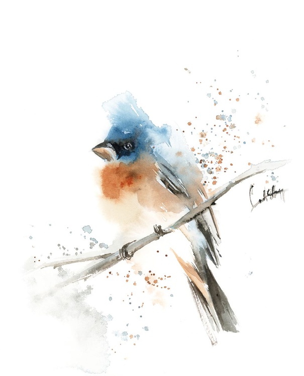 Bluebird Watercolor Painting By Sophie Rodionov Artfinder