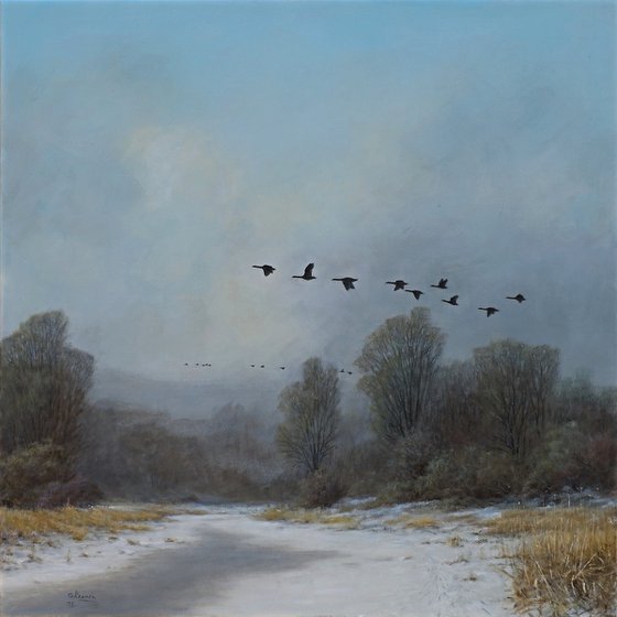 Geese on the run.