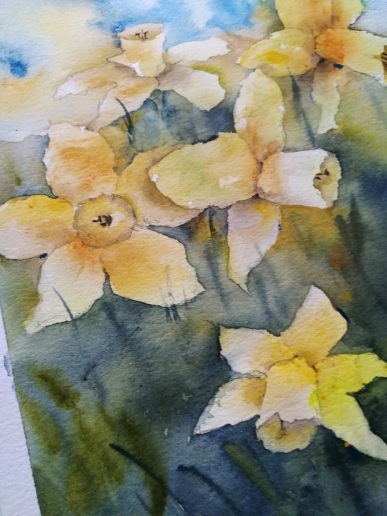 Daffodils painting