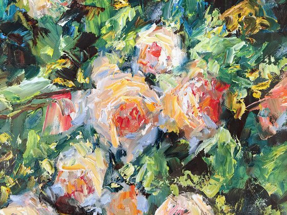 Garden Roses