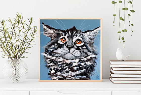 Funny cat Maine Coon