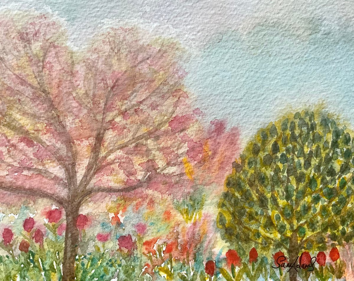 Cherry blossom, King Holly tree, Tulips by Samantha Adams