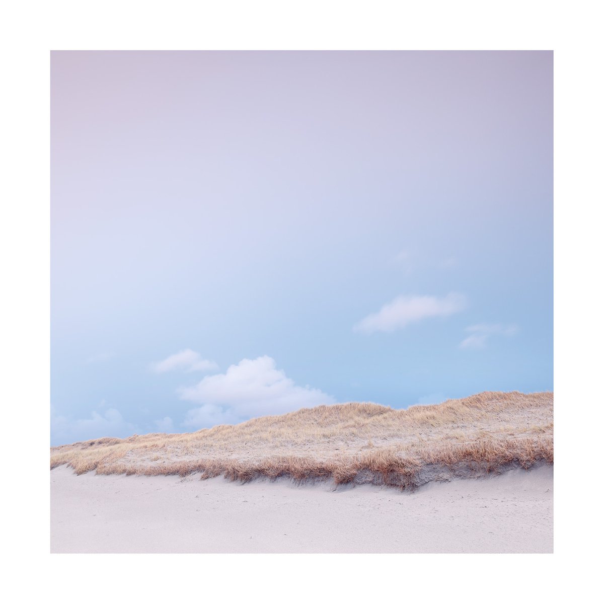 Last Light by David Baker