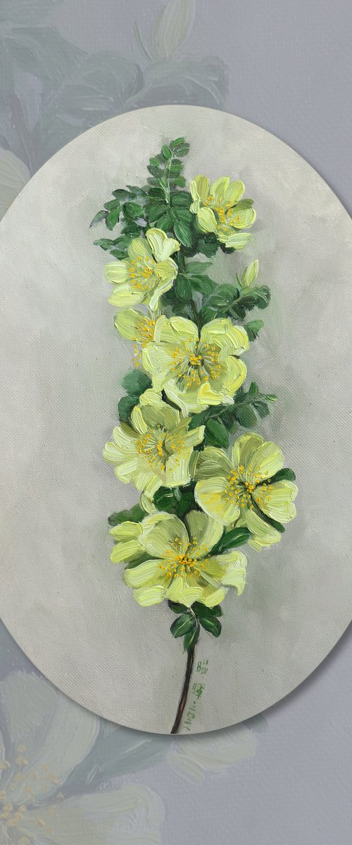 yellow flowers by Zhao Hui Yang