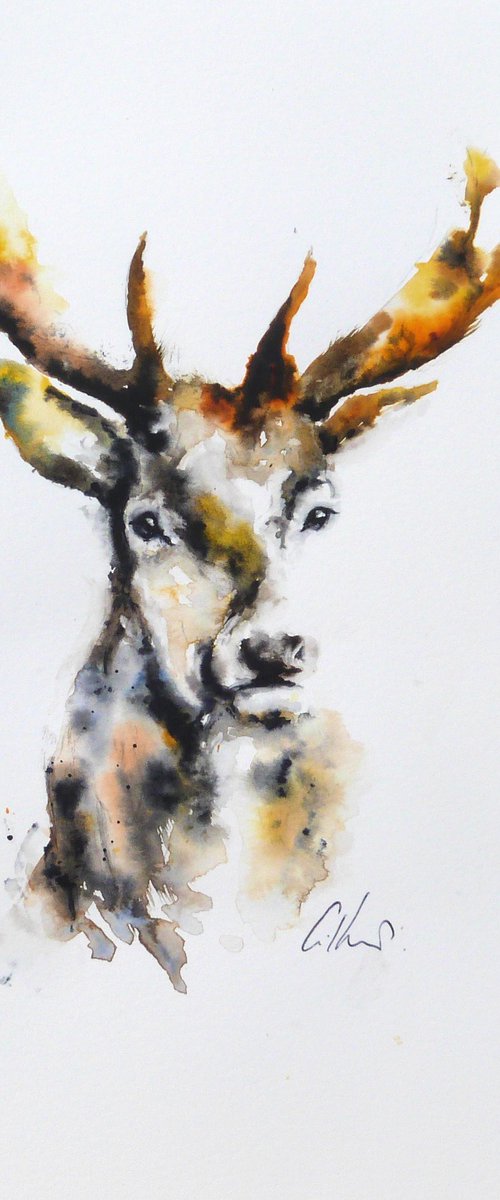 Stag, Lost & Found. by Graham Kemp