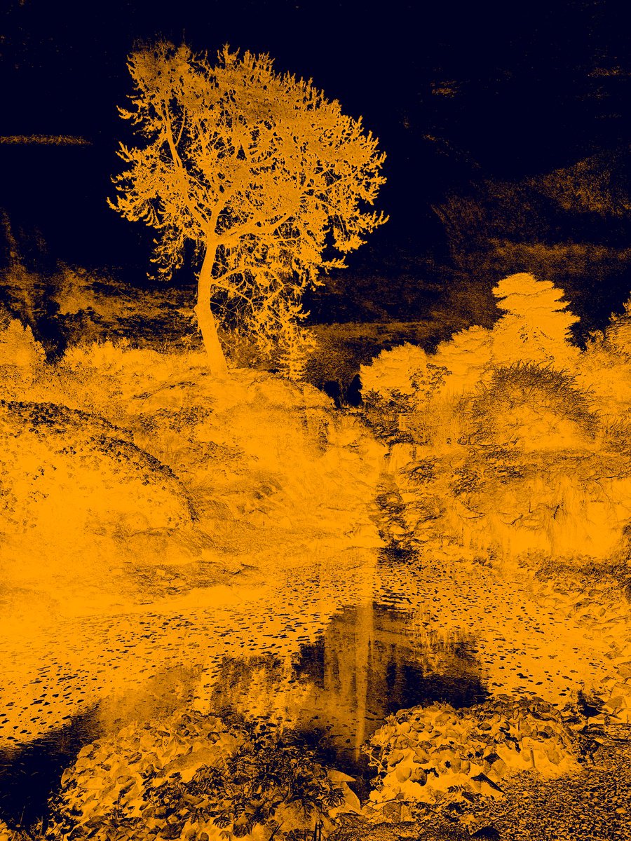 Impressionistic Photograph , Echoes In Gold Iii By Viet Ha Tran, 25 X 19, Artwork For Sale On Artfinder