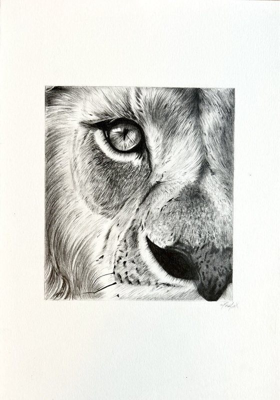 The lion king