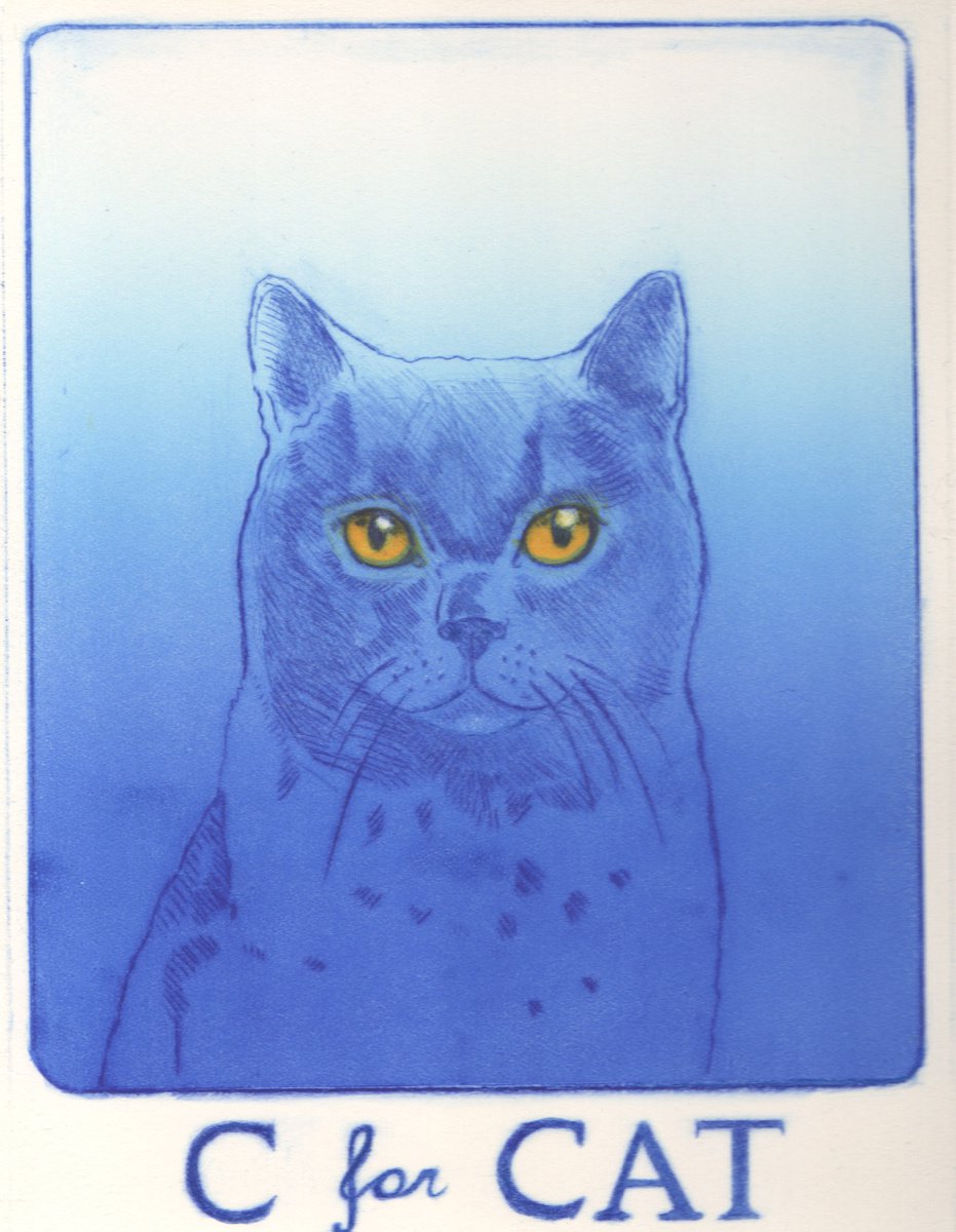 Graphic Animal Etchings & Engravings By Theresa Pateman, 11 X 15", "C" For Cat, Original Artwork