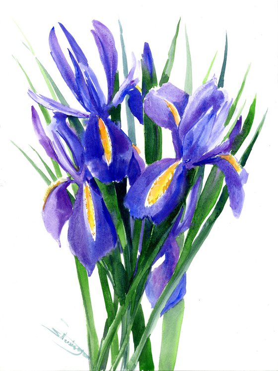 Blue Iris Flowers