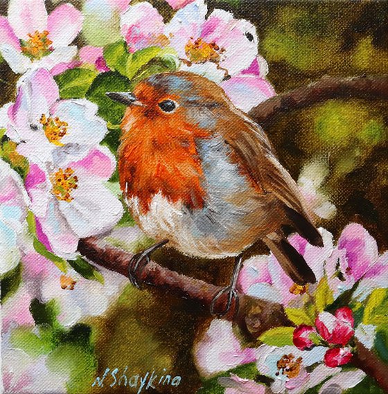 Robin with Apple Blossoms